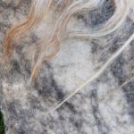 detail voorkant